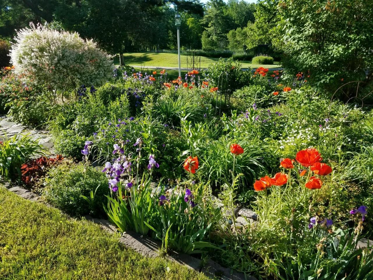 Pinehurst Inn Bed & Breakfast Bayfield Luaran gambar